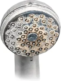 IF your shower looks like this