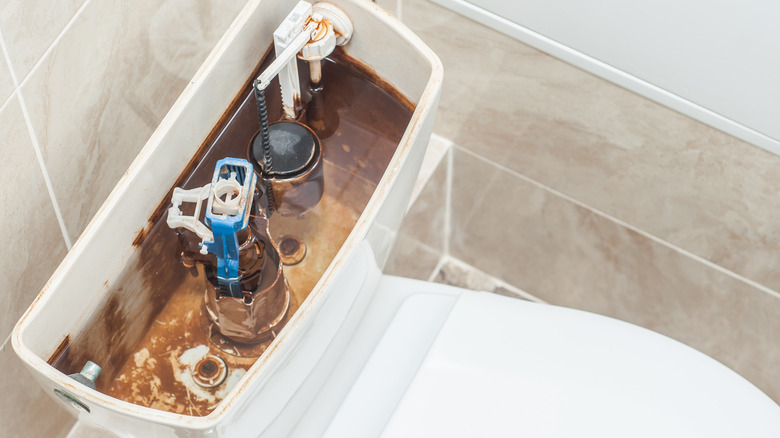 IF your toilet looks like this